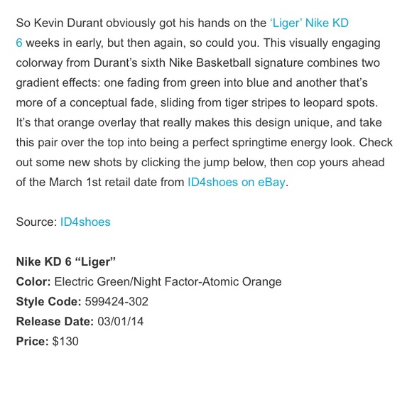 Nike EUC “KD 6 Liger” Kids Sneakers - Picture 11 of 11